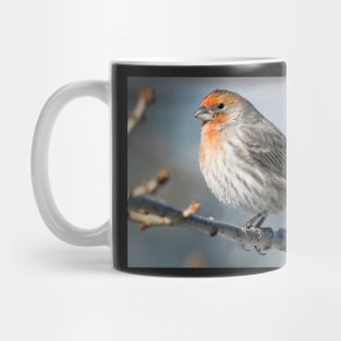 Finch in the cold Mug